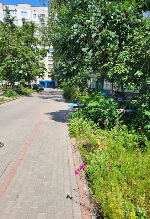 Квартира на просп. Михайла Лушпи в Сумах, ID 292322, фото №12