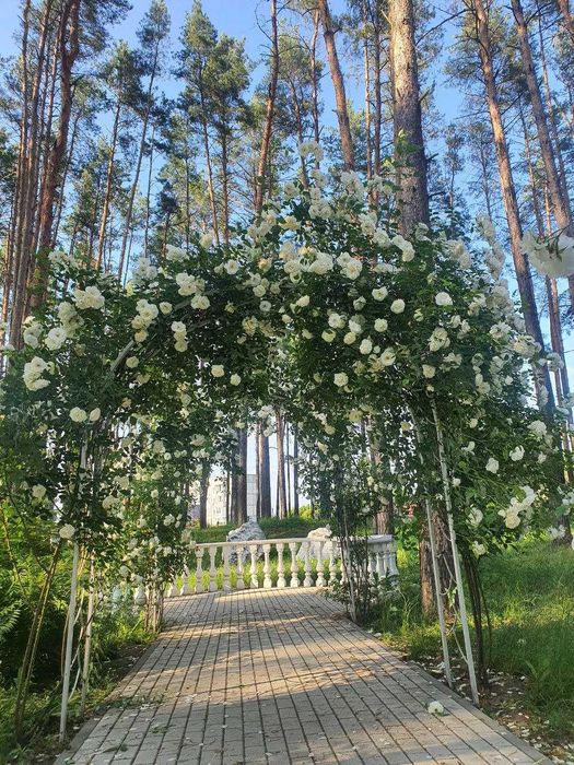 Квартира — Гостомель в Києві, ID 305216, фото №15