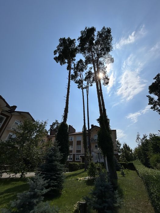 Квартира на Буча в Києві, ID 241507, фото №18
