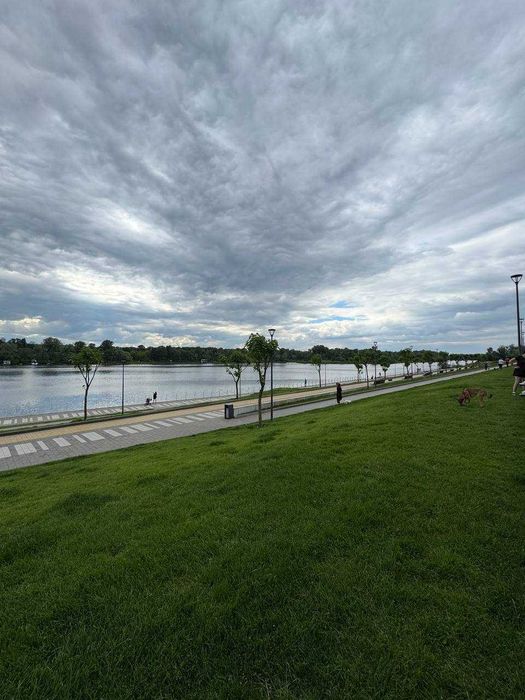 Квартира на біля метро Лівобережна в Києві, ID 248583, фото №21