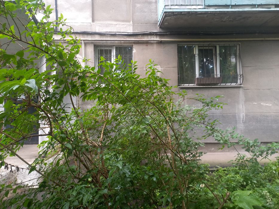 Квартира на вул. 5 Фонтана, ID 252861, фото №1