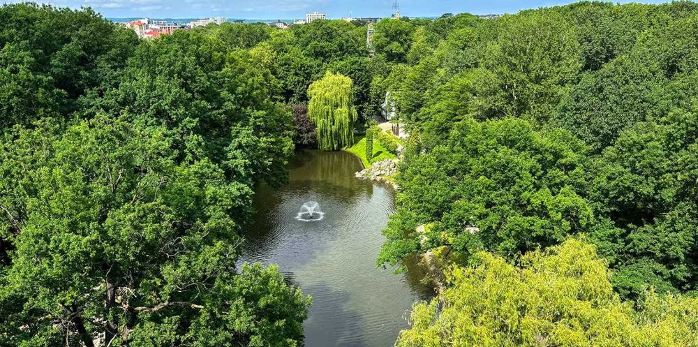 Квартира на парк Шевченка в Івано-Франківську, ID 249691, фото №2