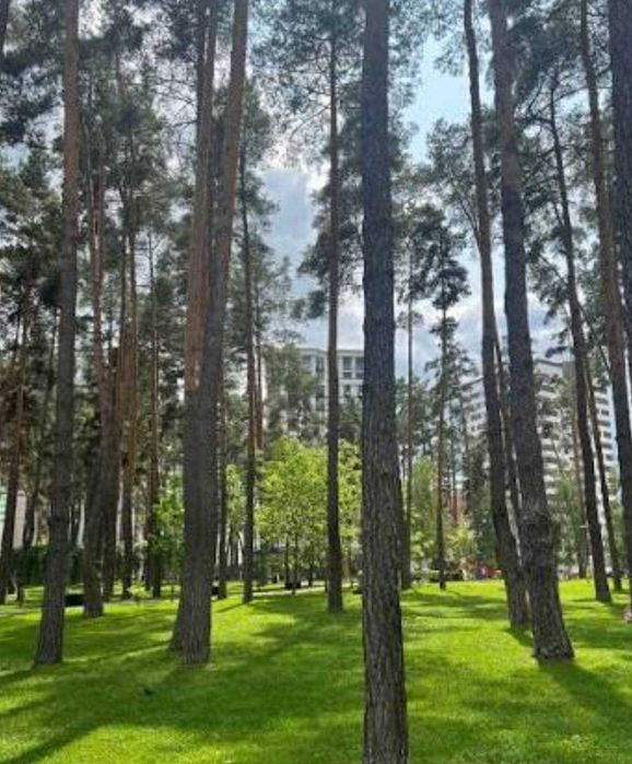 Квартира на ЖК Чехов Парк в Києві, ID 252146, фото №12