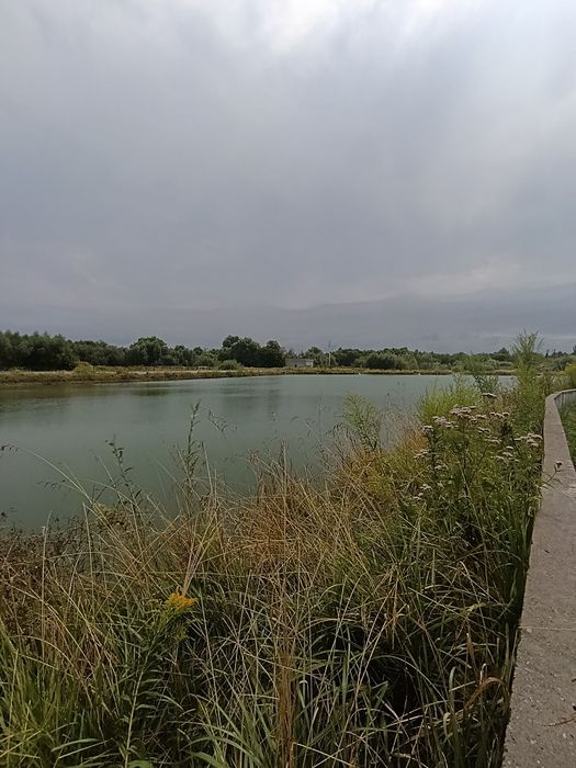 Квартира на вул. Героїв Крут, 10 в Києві, ID 305324, фото №19