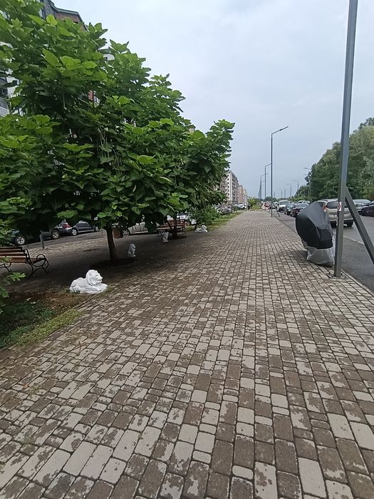Квартира на вул. Героїв Крут, 10 в Києві, ID 305324, фото №20