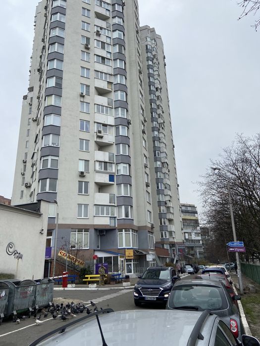 Квартира на вул. Кубанської України, 31а в Києві, ID 260950, фото №1