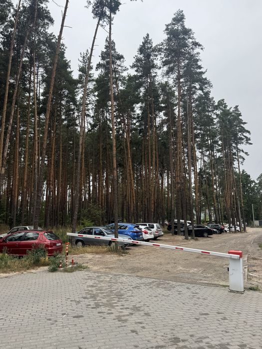 Квартира на вул. Виговського, 2Д в Києві, ID 257815, фото №21