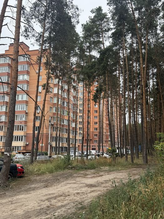 Квартира на вул. Виговського, 2Д в Києві, ID 257815, фото №22