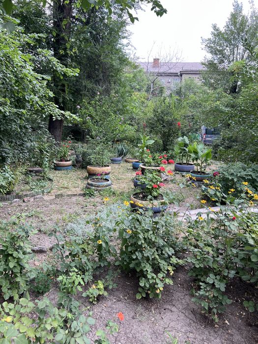 Квартира на вул. Савицького, 3 в Кривому Розі, ID 258766, фото №19