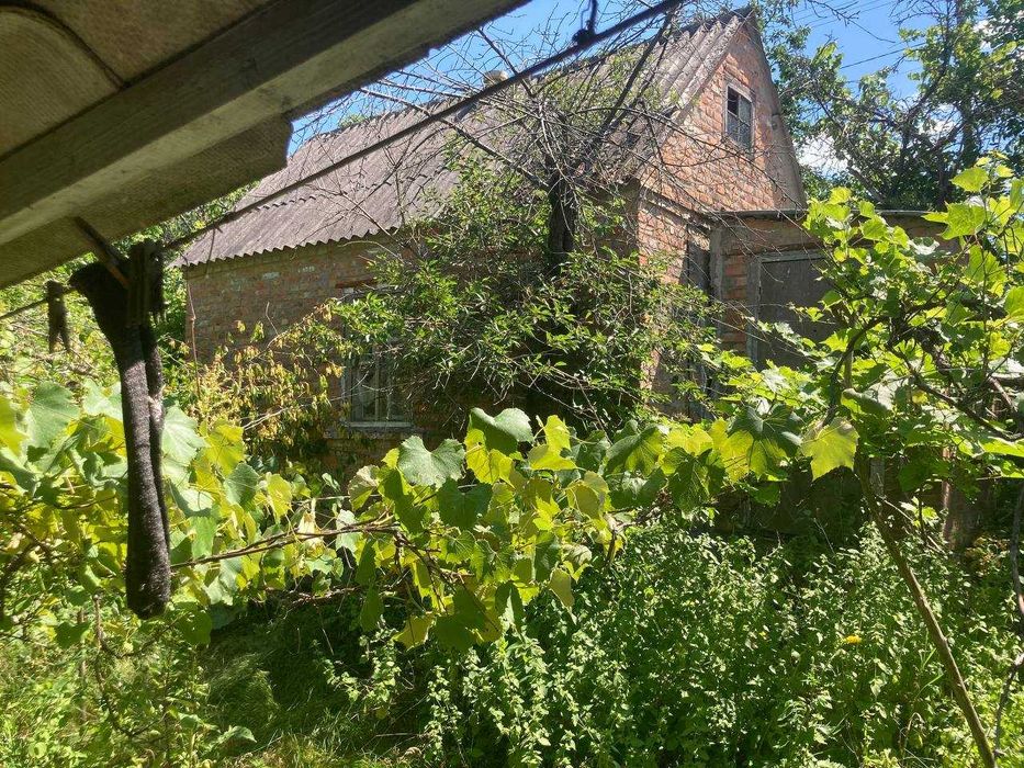 Будинок на Кіровоградська область, Івано-Благодатне, ID 422878, фото №2