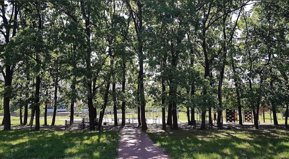 Квартира на вул. Самійла Кішки, 5А в Києві, ID 260353, фото №12