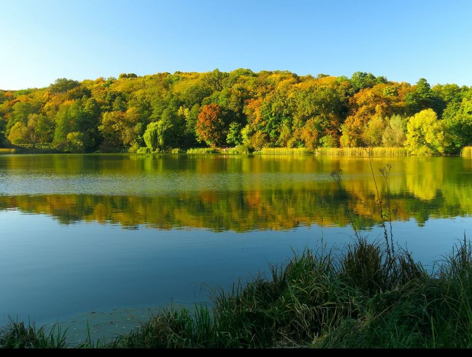 Квартира на вул. Самійла Кішки, 5А в Києві, ID 260353, фото №13
