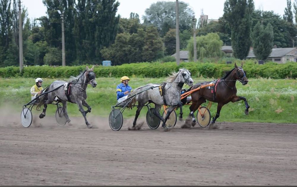 Квартира на вул. Самійла Кішки, 5А в Києві, ID 260353, фото №16