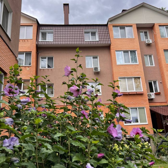 Квартира на вул. Полтавська в Києві, ID 262430, фото №10