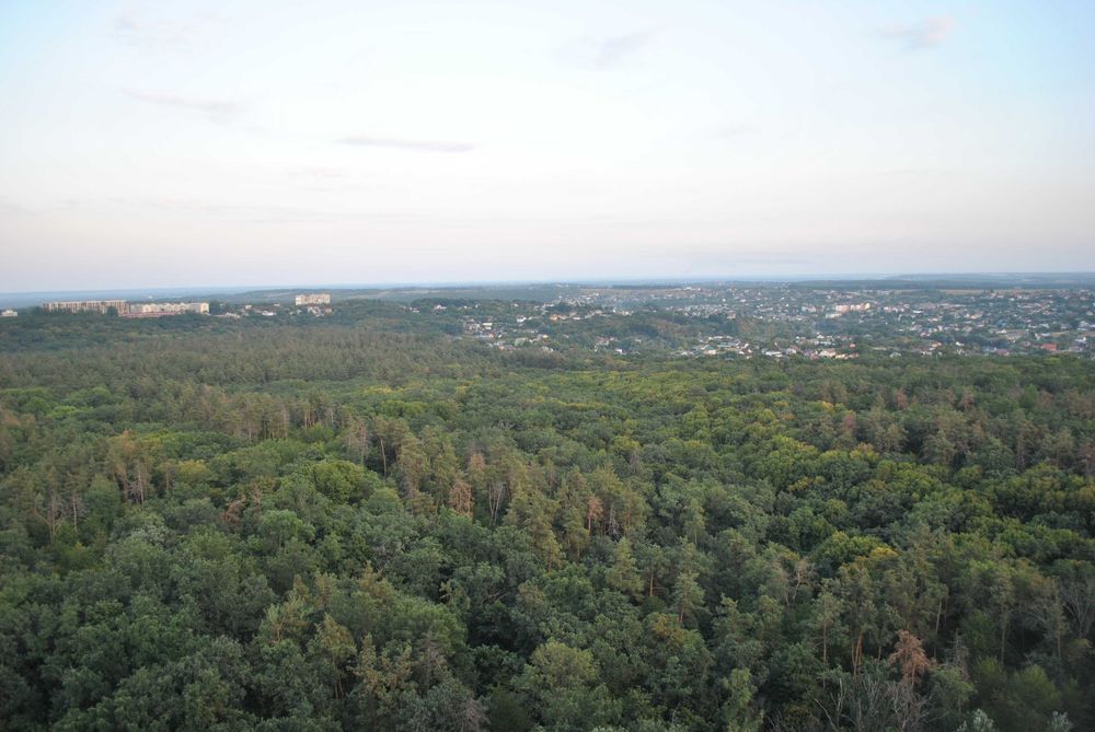 Квартира на біля метро Теремки в Києві, ID 305088, фото №23