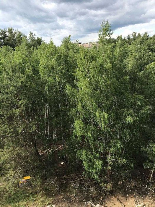 Квартира на вул. Радистів, 34 в Києві, ID 262533, фото №11