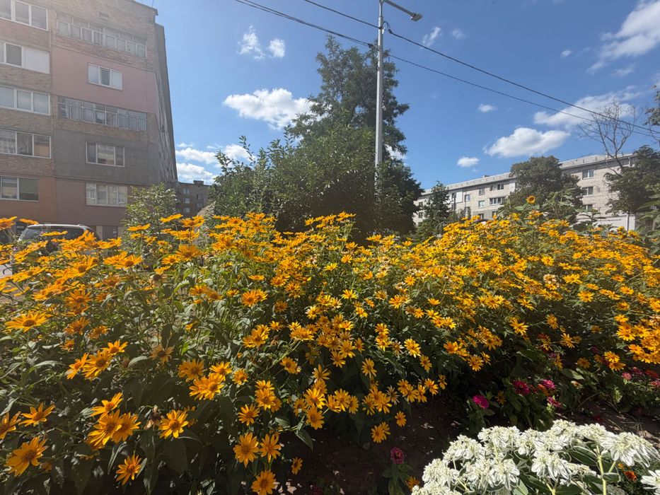 Квартира на вул. Шкільна в Києві, ID 262667, фото №3