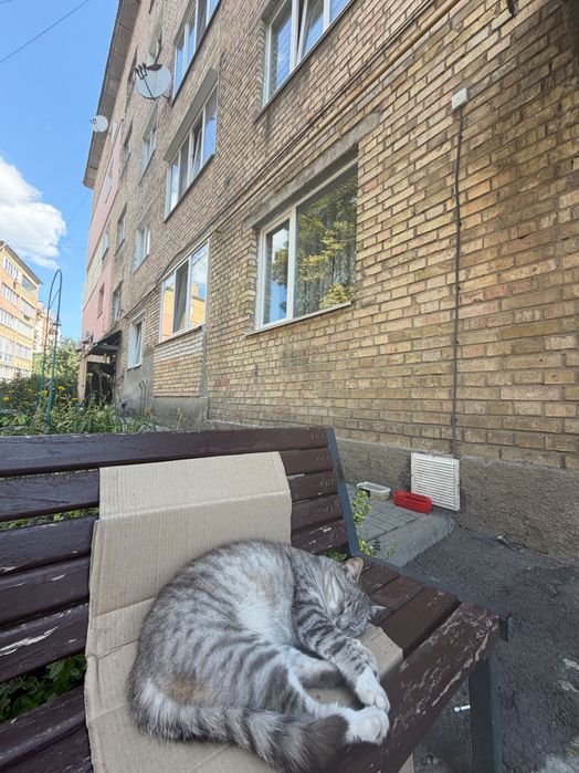Квартира на вул. Шкільна в Києві, ID 262667, фото №4