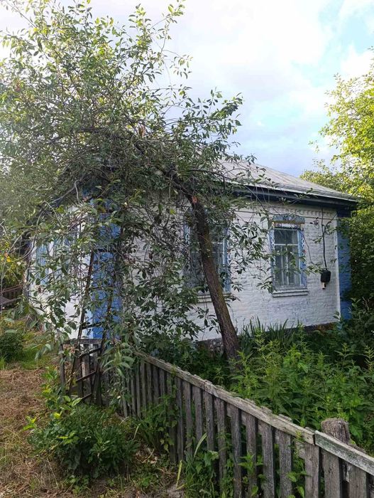 Будинок на Чернігівська область, Данівка, ID 423647, фото №1