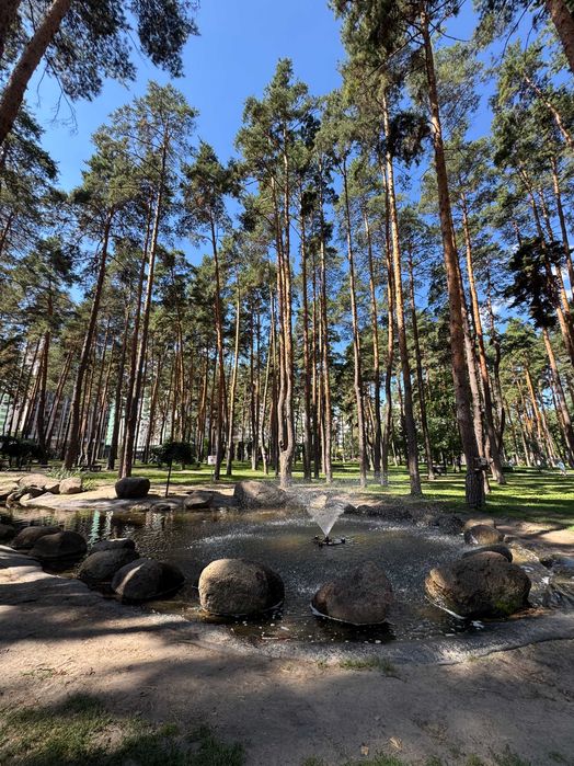 Квартира на ЖК Чехов Парк в Києві, ID 266054, фото №21