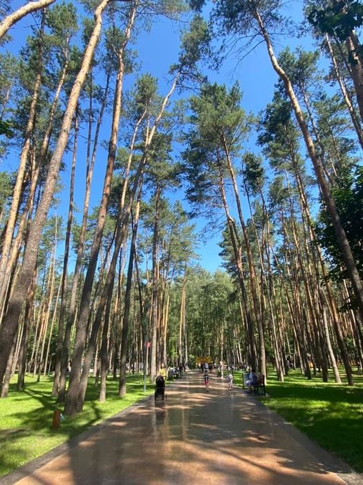 Квартира на вул. Академіка Кіпріанова, 6 в Києві, ID 267248, фото №16