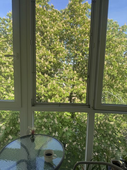 Квартира на вул. Сковороди в Києві, ID 267755, фото №7