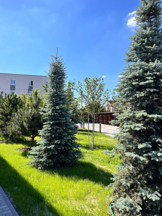Квартира на ЖК Sanville Park в Києві, ID 308840, фото №16