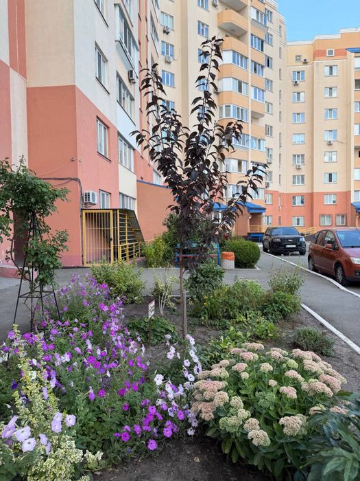 Квартира на вул. Бульвар Богдана Хмельницького, 10 в Києві, ID 268826, фото №16