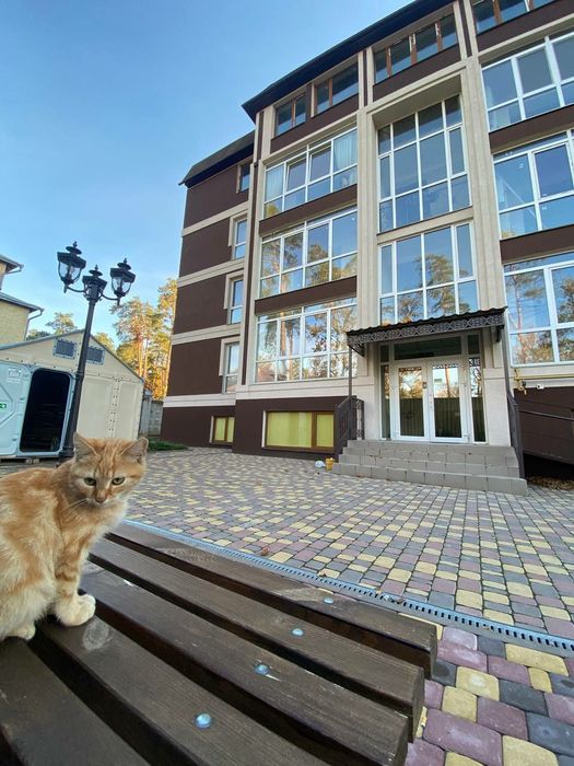Квартира на ЖК Олсія в Києві, ID 270085, фото №21