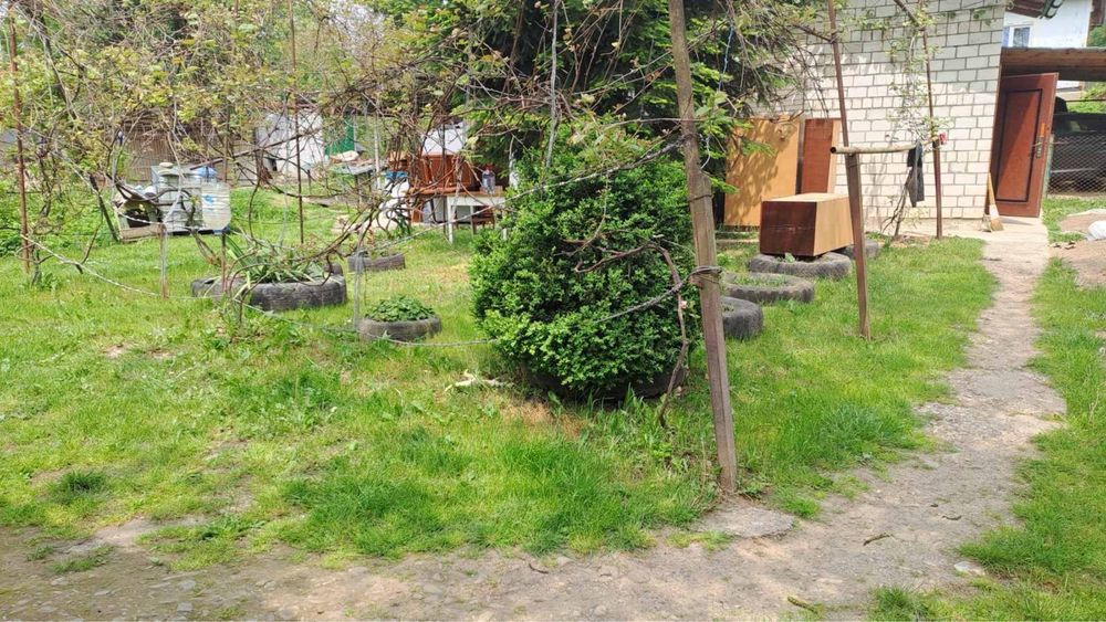 Будинок на Львівська область, Кавське, ID 416078, фото №3