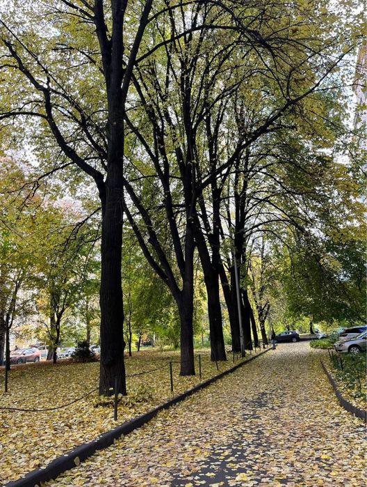 Квартира на вул. Лаврська, 4 в Києві, ID 271514, фото №19