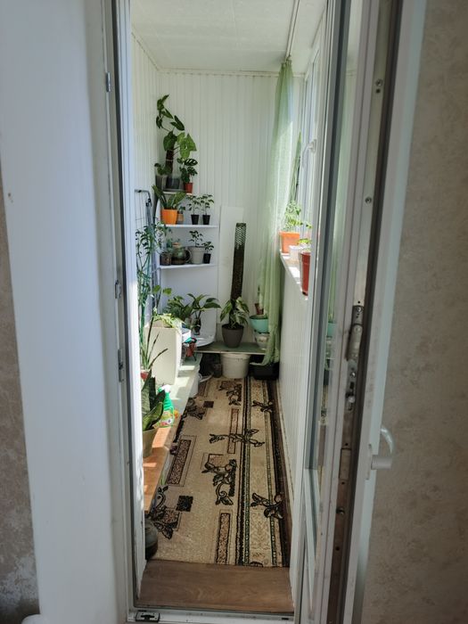 Квартира на район Заз в Чернігові, ID 270351, фото №7