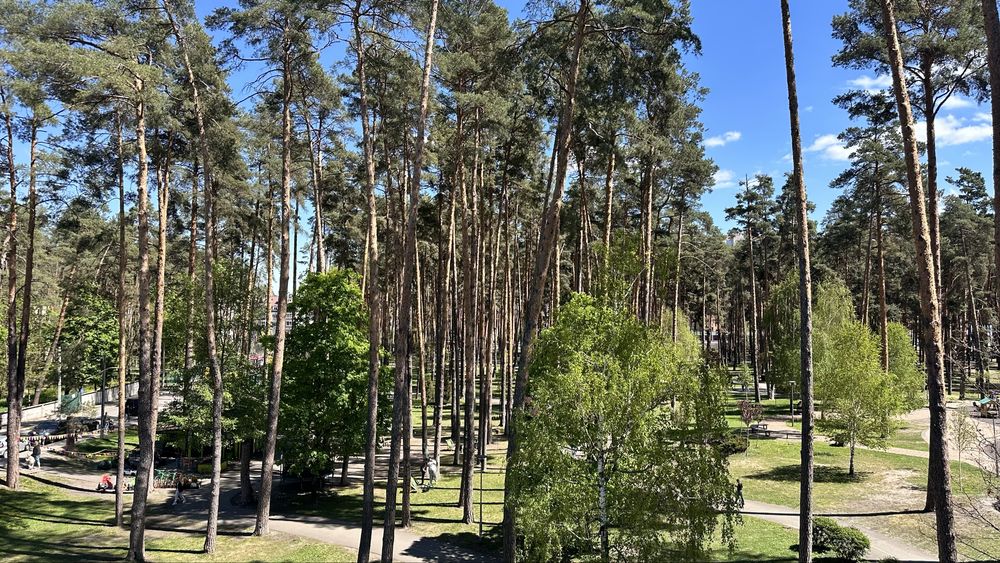 Квартира на ЖК Центральний 2 в Києві, ID 270286, фото №14