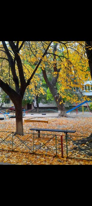 Квартира на вул. Дегтярівська, 26-а в Києві, ID 270617, фото №1