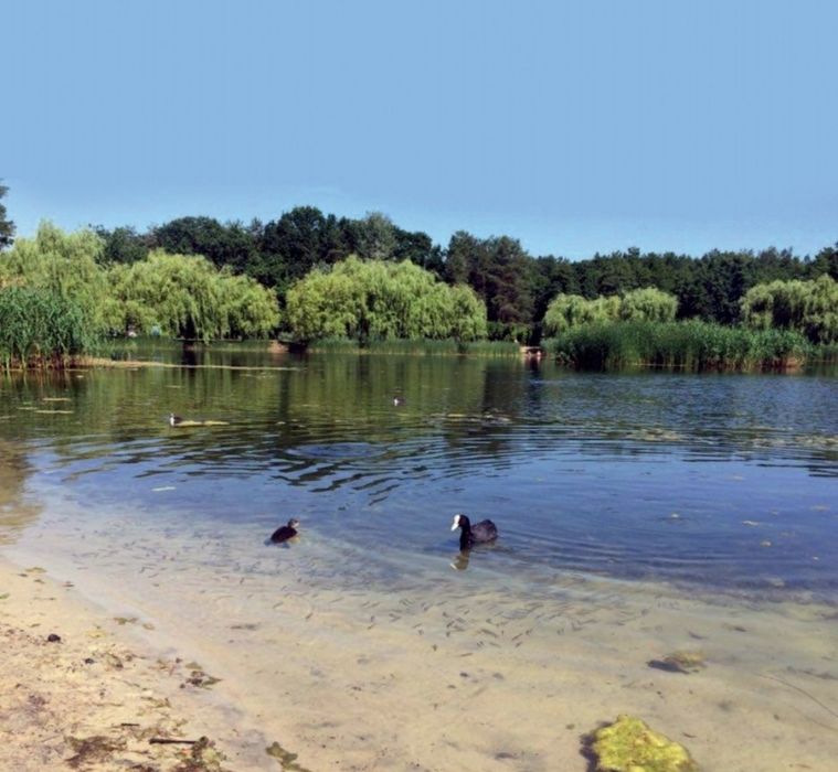 Квартира на Дарницький в Києві, ID 274136, фото №4