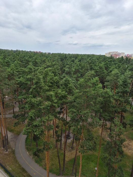 Квартира на ЖК Центральний 2 в Києві, ID 271620, фото №12