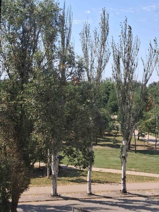 Квартира на вул. Петра Дорошенка в Кривому Розі, ID 272170, фото №1