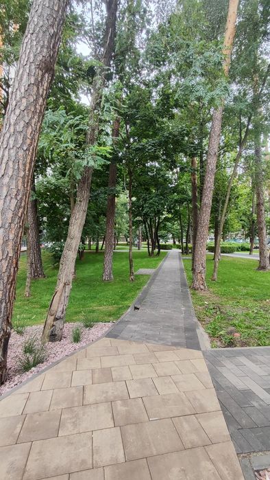 Квартира на вул. Миколи Шудрі, 23 в Києві, ID 274385, фото №24