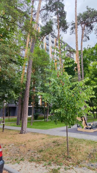 Квартира на вул. Миколи Шудрі, 23/3 в Києві, ID 273930, фото №16
