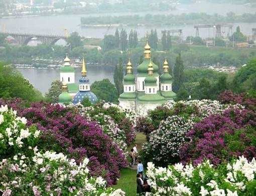 Квартира на ЖК "Новопечерська вежа" в Києві, ID 316196, фото №23