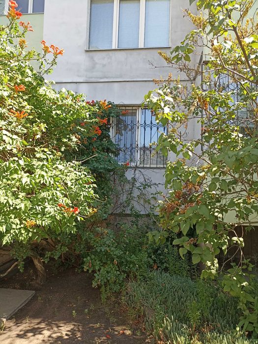 Квартира на Центральна Митниця в Черкасах, ID 275297, фото №11
