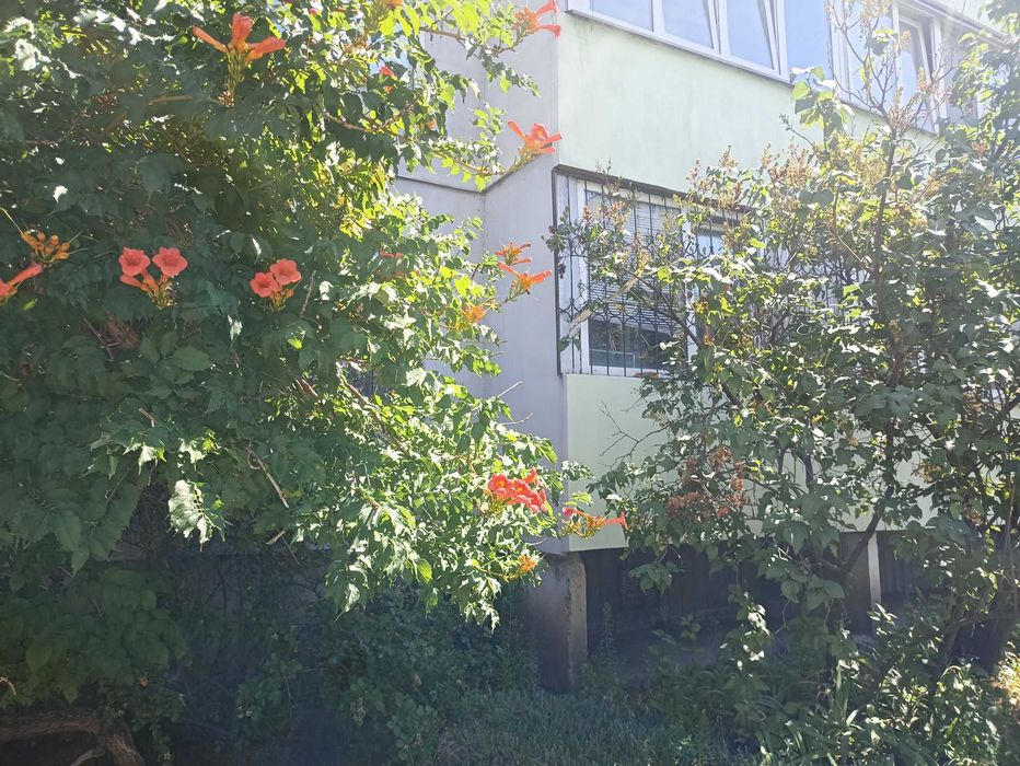 Квартира на Центральна Митниця в Черкасах, ID 275297, фото №12