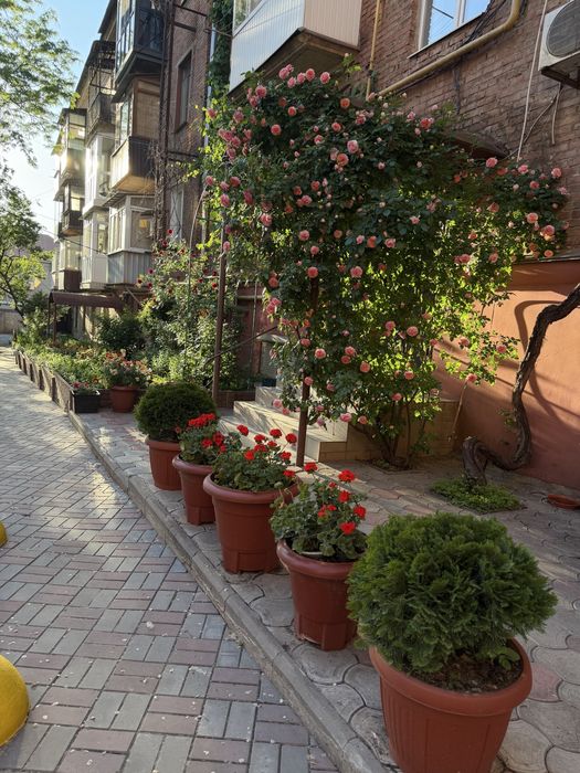 Квартира на пл. Артема в Кривому Розі, ID 275501, фото №18