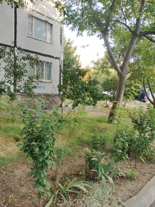 Квартира на вул. Ивана Юрия Лып в Одесі, ID 275529, фото №5