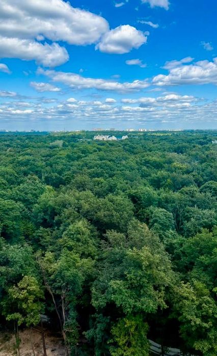 Квартира на вул. Академіка Заболотного, 15-Е в Києві, ID 312205, фото №5