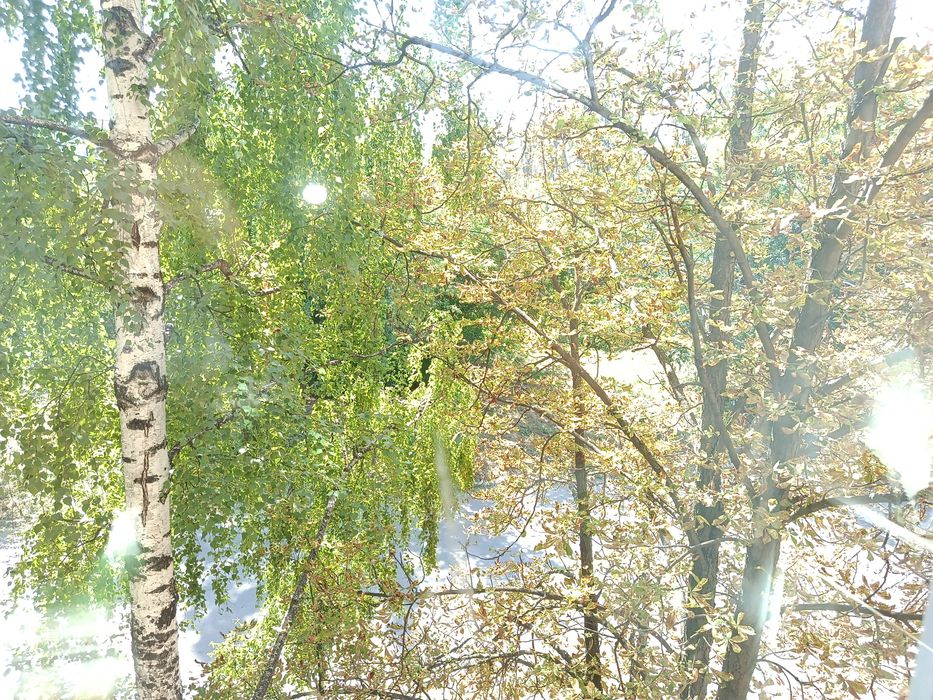 Квартира на на зупинці Світанок в Кривому Розі, ID 278371, фото №10