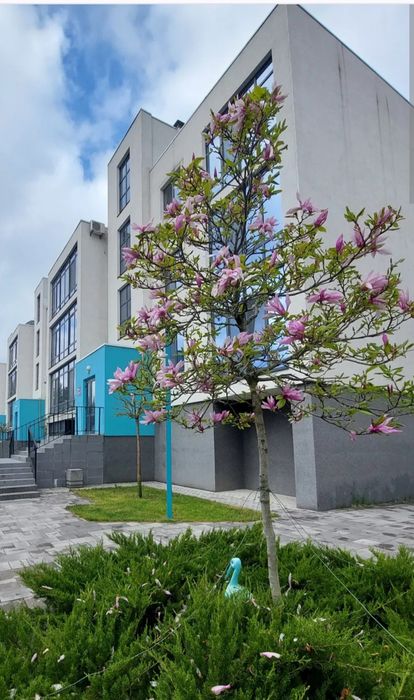 Квартира на вул. Захисників, 11 в Києві, ID 279075, фото №1