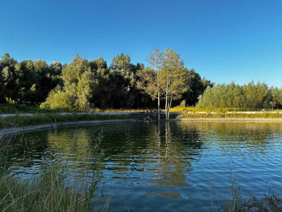 Квартира на вул. Анатолія Луценка, 23 в Києві, ID 309705, фото №15