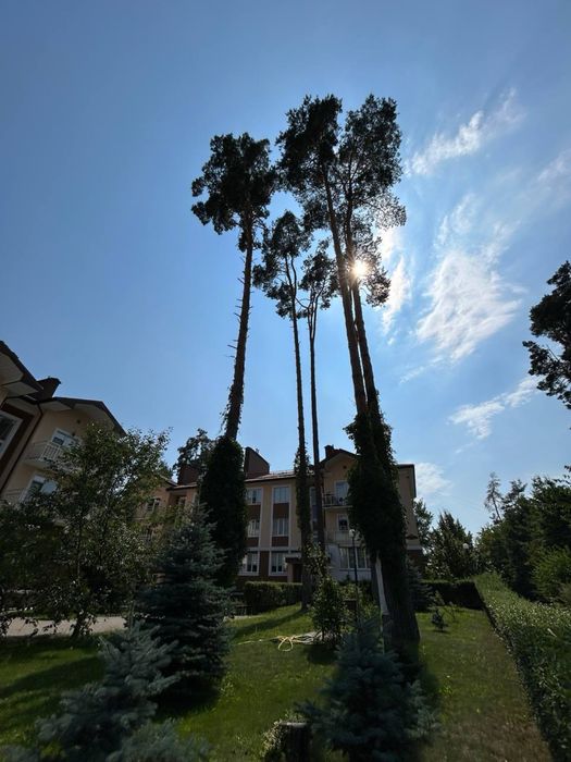 Квартира на вул. Шота Руставелі в Києві, ID 282125, фото №5