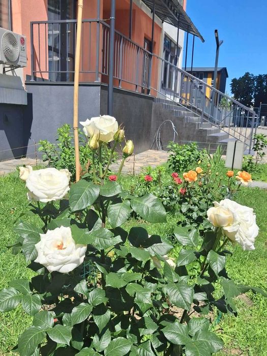 Квартира на ЖК «Бережанський» в Києві, ID 282332, фото №20